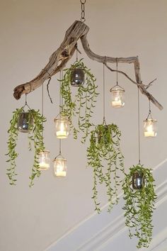 a chandelier made out of glass jars with plants hanging from them