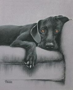 a drawing of a black dog resting on a couch with its eyes open and his head resting on the arm rest