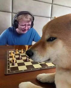 a dog sitting at a table playing chess with a person wearing headphones in front of him