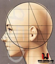 an image of a person's head with the lines drawn out to make it look like