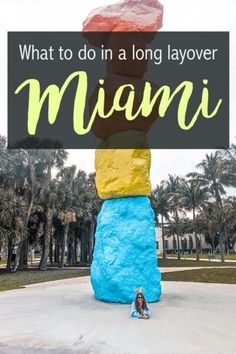 what to do in a long layover in miami