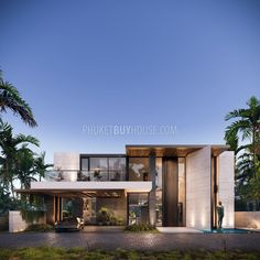 the modern house is surrounded by palm trees