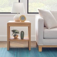 a living room scene with focus on the end table and cactus in the foreground