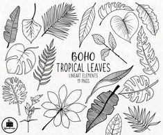 the boho tropical leaves clipart collection is shown in black and white, with different types