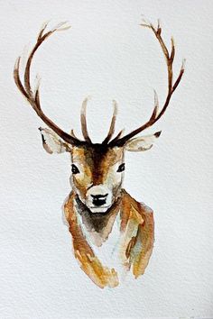 a watercolor painting of a deer with antlers on it's head, looking at the camera