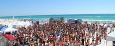 a large group of people standing on top of a beach