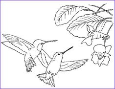 two hummingbirds flying in the air with flowers and leaves around them, coloring page