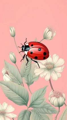 a ladybug sitting on top of a white flower next to green leaves and pink background