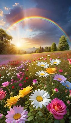 a rainbow in the sky over a field full of wildflowers and pink flowers