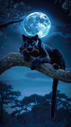 a black cat sitting on top of a tree branch with the moon in the background