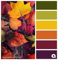 Design Seeds, Colours That Go With Burgundy, Autumn Colour Palette, Fall Color Schemes, Color Schemes Colour Palettes, Kunst Inspiration, Fall Color Palette, Color Palette Design, Colour Pallette