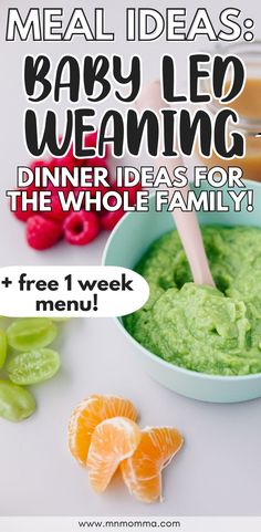 Meal ideas for dinner with baby led weaning (BLW) for the whole family Baby Led Weaning Dinner Ideas, Baby First Solid Food, Dinner Ideas For Family, 7 Month Old Baby, Super Easy Dinner, Baby Led Weaning Recipes, Weaning Recipes, Led Weaning, Baby Led Weaning