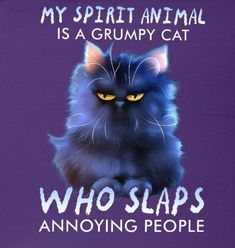 a black cat with yellow eyes and the words, my spirit animal is a grumpy cat who slaps annoying people