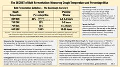 the secret of pink fermentation measuring temperature and percentage rise