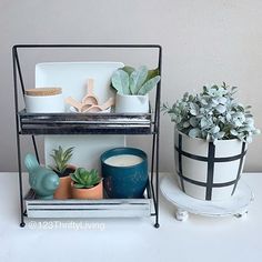 two potted plants sitting next to each other on top of a metal rack with plates and cups