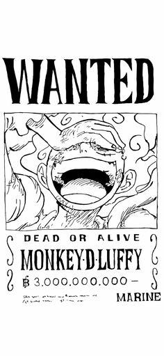 the wanted poster for monkey d luffyy