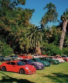 a bunch of cars parked in the grass next to trees and palm tree's