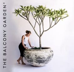 a woman standing next to a potted plant