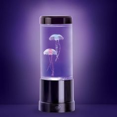 two jelly fish in a glass container on a purple background