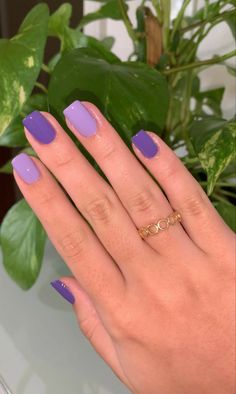 Purple Short Nails Ideas, Speak Now Nails Inspired, Two Colored Nails, Simple Gel Nails Short, Multicolor Manicure, 2023 Nails, Gelish Nails, Aycrlic Nails