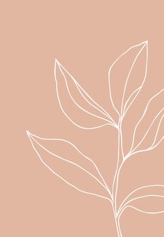 a white line drawing of a leaf on a pink background