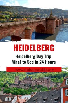 Images from Heidelberg with text overlay: Perfect Day Trip to Heidelberg: What to See. Heidelberg, Heidelberg Castle, Germany Travel Guide, Heidelberg Germany, European Road Trip, European Travel Tips, Travel Through Europe, Wildlife Travel, Europe Itineraries
