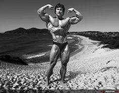 Frank Zane Arnold Schwarzenegger Bodybuilding, Best Bodybuilder, Schwarzenegger Bodybuilding, Crossfit Gym, Body Builder