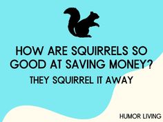 41. What does a squirrel say to reassure others? I Mearn-t what I said.