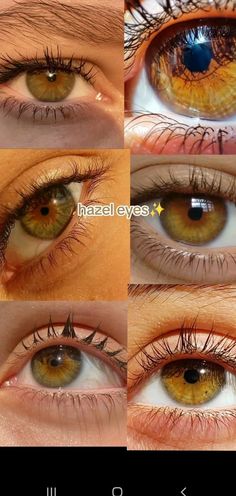 Twilight Drawings, Pretty Eyes Color, Brown Eyes Aesthetic, Rare Eye Colors, Eye Color Chart, Hazel Green Eyes, Beautiful Eyes Color, Hazel Green, Eye Colors