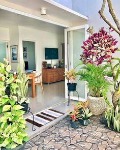 a living room filled with lots of plants next to a patio and dining room table