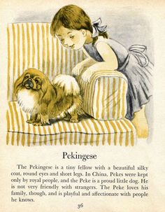 Dog Illustrations, Spoiled Dogs, Book Artwork, Chihuahua Dog, Childrens Book