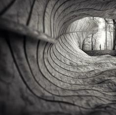 a black and white photo of a person standing in the middle of a tunnel that is surrounded by trees