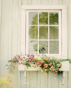 an old window with flowers growing out of it