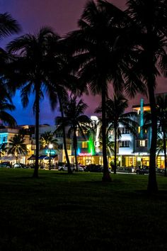 palm trees line the street at night in front of a building with brightly lit windows