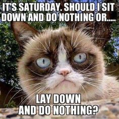 a grumpy cat with the caption it's saturday, should i sit down and do nothing or lay down and do nothing?