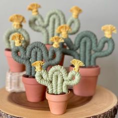 several small cactus plants in clay pots on a wooden stand, with yellow and green decorations
