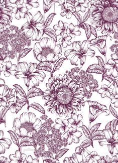 a purple and white floral wallpaper with lots of flowers on the bottom half of it