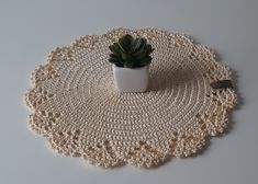 a crocheted placemat with a small plant on top