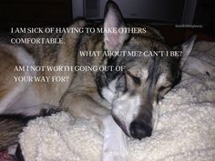 a dog sleeping on top of a blanket with the caption i am sick of having to make others comfortable