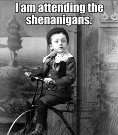 a little boy sitting on top of a bike with caption that reads, i am attending the shenanigans