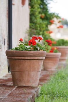 three clay pots with red and white flowers on the side of a brick wall in front of a house
