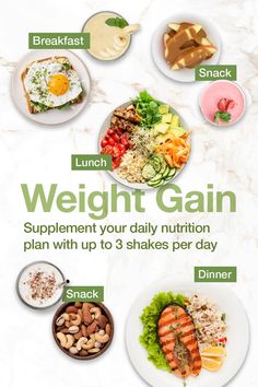 Plan your nutrition with these balanced meal plan ideas. Include lean proteins, nutritious carbohydrates, healthy fats, and substantial hydration for your day. 

Discover more in our blog: Nutritional Shakes, Meal Plan Ideas, Balanced Meal Plan, Weight Gain Supplements, Quick Soup, Healthy Drinks Smoothies, Nutrition Shakes, Nutrition And Dietetics