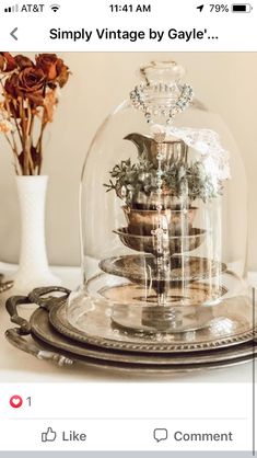 a glass clochet with plants under it on a plate next to a vase