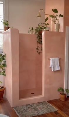 a bathroom with pink walls and wooden flooring next to a bathtub filled with plants