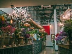 the inside of a flower shop filled with lots of plants and hanging lights on the ceiling