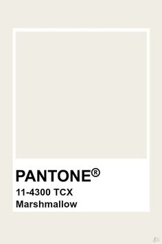 pantone's white paint is shown with the words, 1 - 1065 tcx