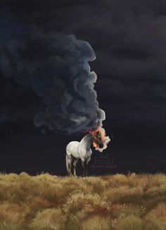 Dark Stormy Sky, Dark & Stormy, Stormy Sky, Fantasy Horses, Grey Horse, Horse Drawings, Arte Fantasy, Horse Art, Creature Art