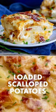 Here's an easy Thanksgiving side dish no one will forget! Layered with a rich, creamy sauce, cheesy goodness, bacon, and caramelized onions, these homemade scalloped potatoes are the BEST. Put this loaded scalloped potato recipe on your Thanksgiving dinner party menu! Loaded Scalloped Potatoes, Citrus Herb Roasted Turkey, Potato With Bacon, Scalloped Potato Recipe, Yummy Potatoes, Homemade Scalloped Potatoes, Scalloped Potato, Scalloped Potatoes Easy