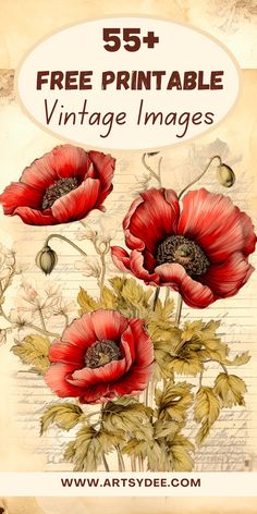 an old fashioned poster with red flowers on it and the words 55 free printable vintage images