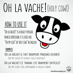 funny french expression from @studyfrench ! French Slang, Useful French Phrases, Basic French Words, Funny French